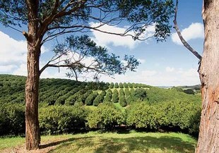 brookfarm farm